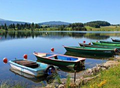  Nature lac des rousses