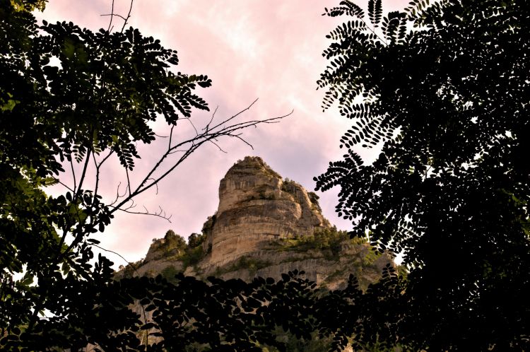 Fonds d'cran Nature Montagnes GORGES DU TARN