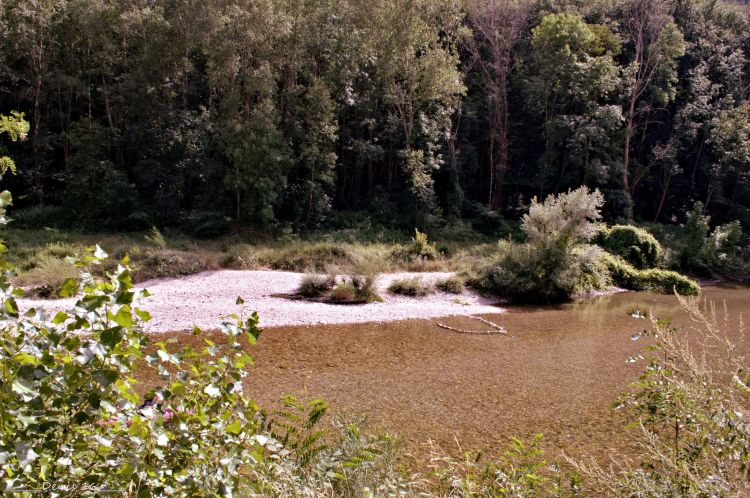 Fonds d'cran Nature Fleuves - Rivires - Torrents GORGES DU TARN