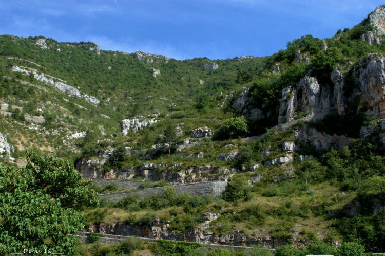 Wallpapers Nature Canyons GORGES DU TARN