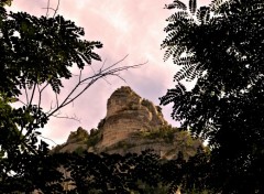  Nature GORGES DU TARN