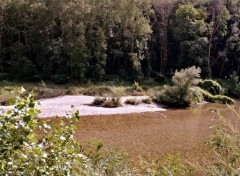  Nature GORGES DU TARN