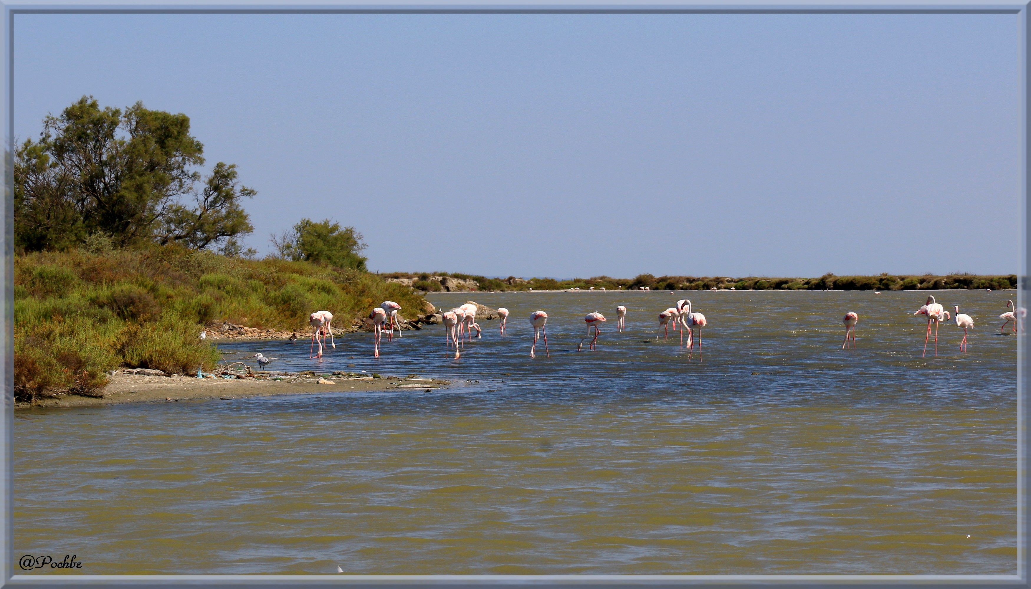 Fonds d'cran Nature Mers - Ocans - Plages 