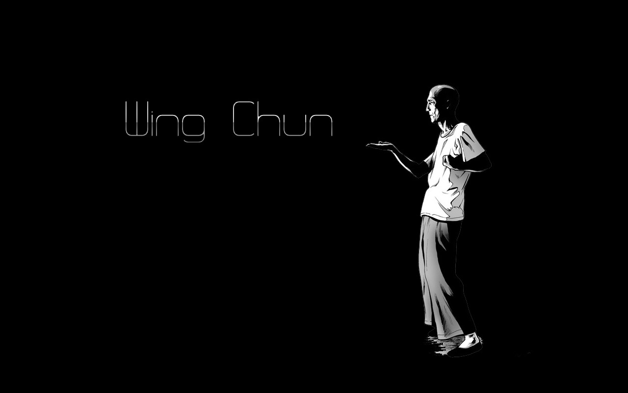 Wallpapers Digital Art Sports Wing chun Maitre