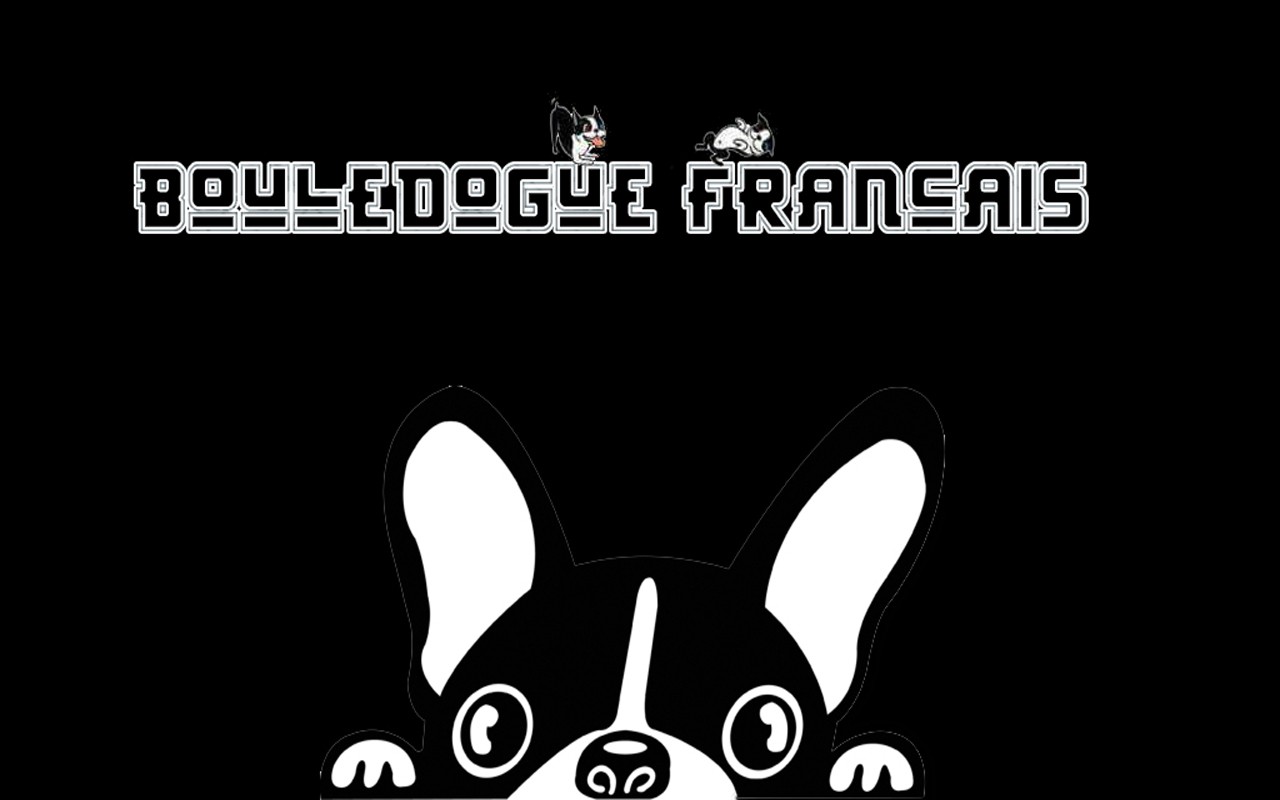 Wallpapers Digital Art Animals Bouledogue francais