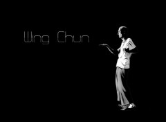  Art - Numrique Wing chun Maitre