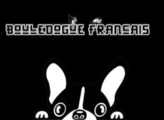  Art - Numrique Bouledogue francais