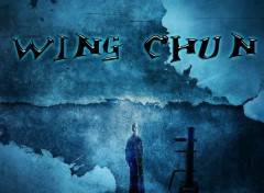  Digital Art Wing chun