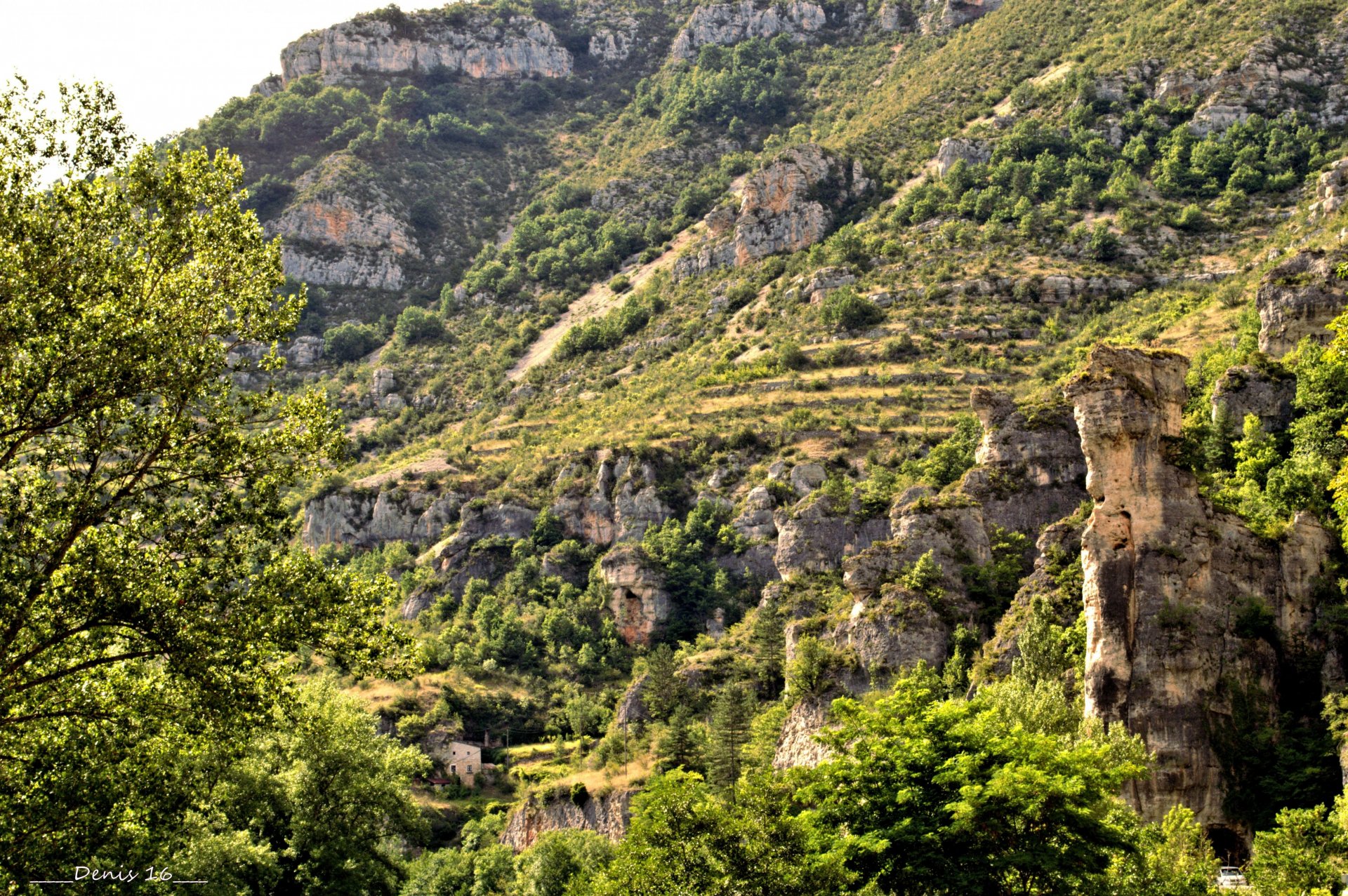 Wallpapers Nature Mountains GORGES DU TARN