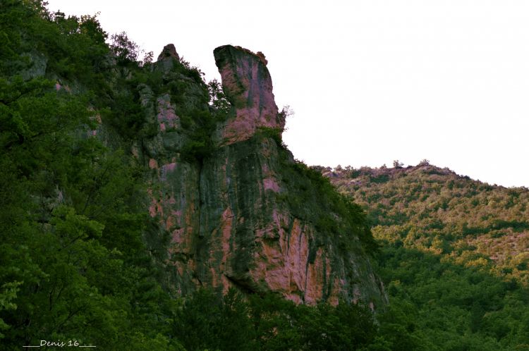 Fonds d'cran Nature Gorges GORGES DU TARN