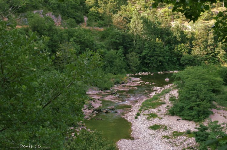 Fonds d'cran Nature Fleuves - Rivires - Torrents GORGES DU TARN