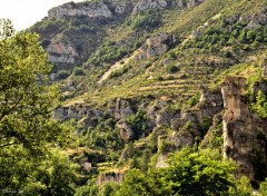  Nature GORGES DU TARN