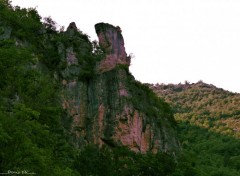  Nature GORGES DU TARN