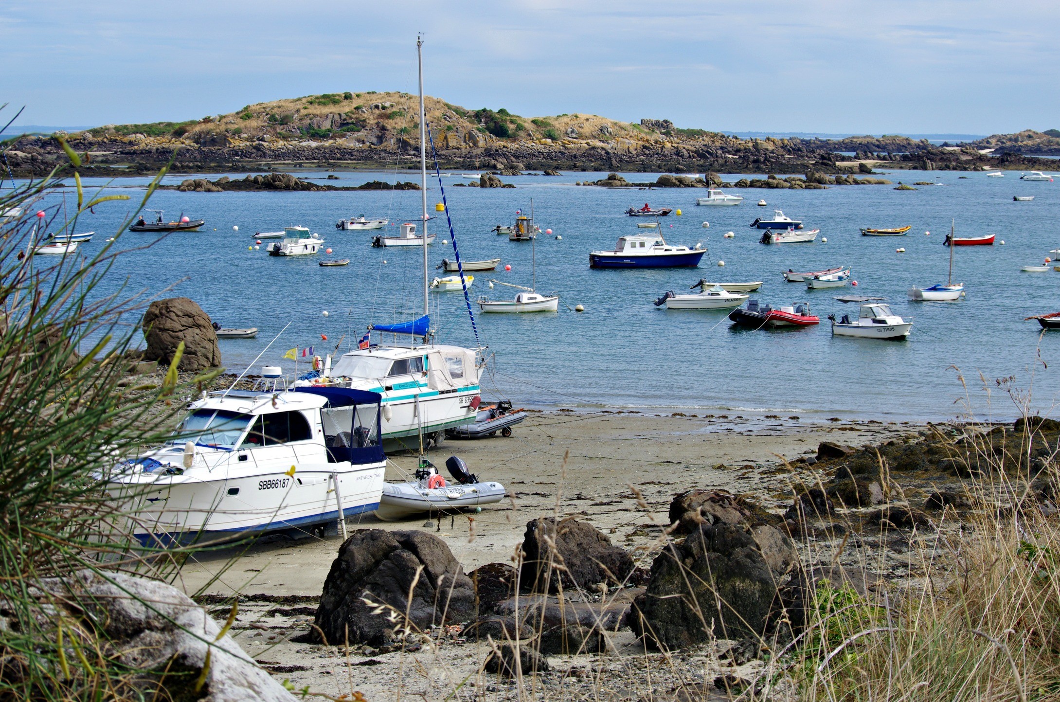 Fonds d'cran Nature Mers - Ocans - Plages Ile CHAUSEY