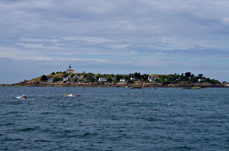 Wallpapers Nature Seas - Oceans - Beaches Ile CHAUSEY