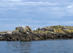  Nature Ile CHAUSEY