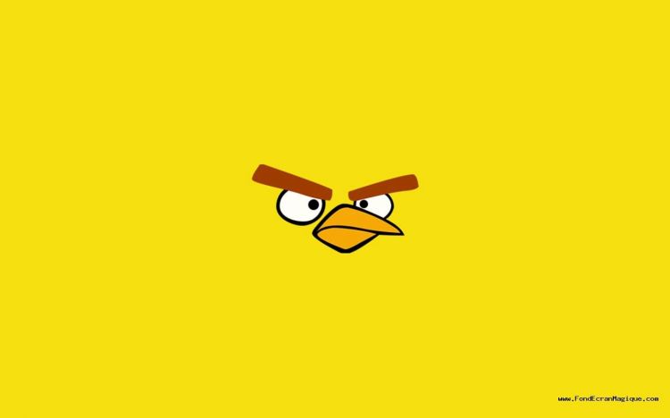 Fonds d'cran Jeux Vido Angry Birds Wallpaper N439544