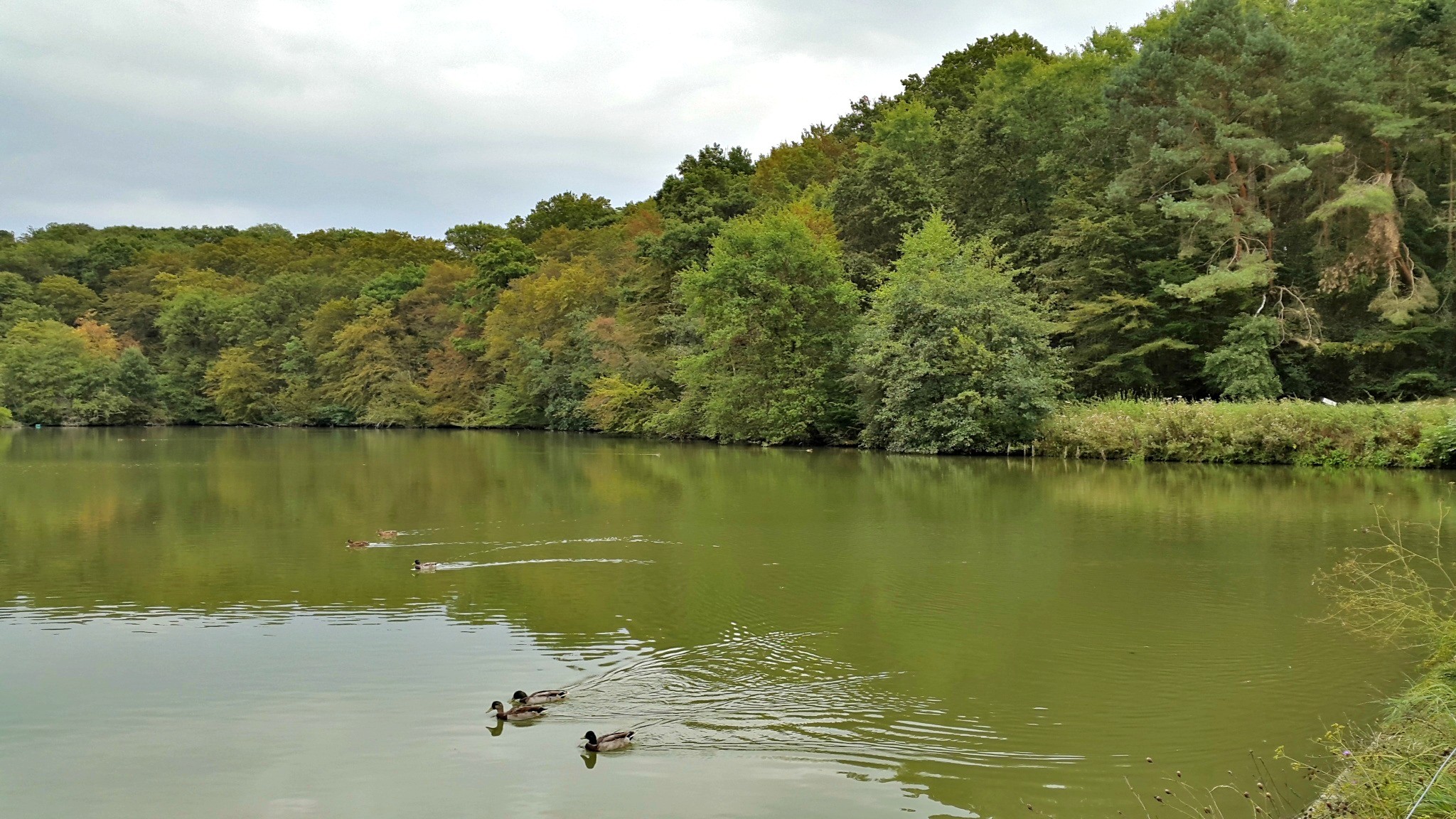 Fonds d'cran Nature Lacs - Etangs 