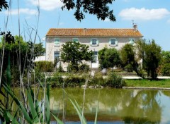  Voyages : Europe La maison du marais