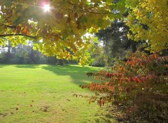  Nature Automne au Pré Catelan