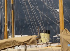  Boats Voiles de Saint Tropez