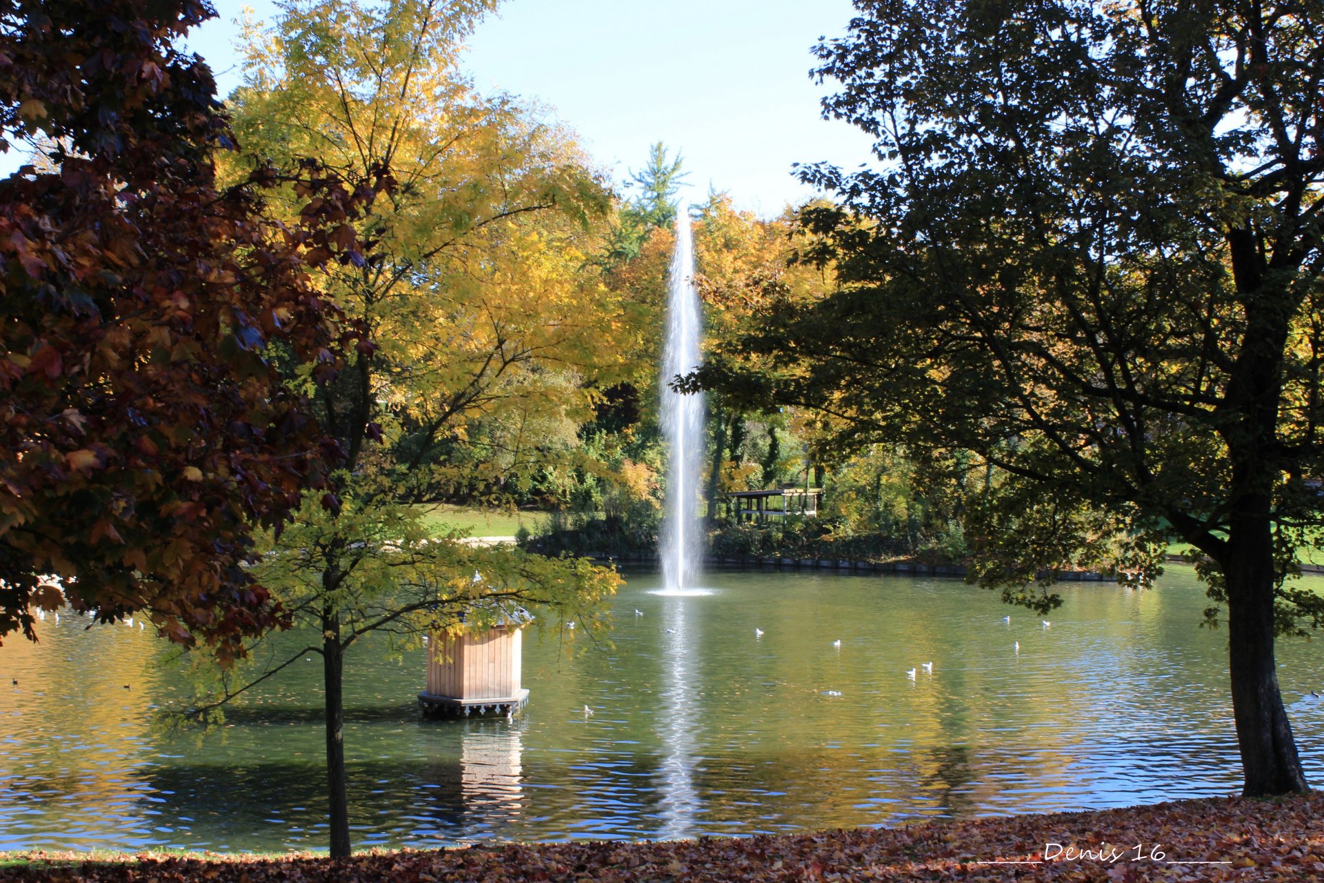 Fonds d'cran Nature Arbres - Forts PARCS ET JARDINS