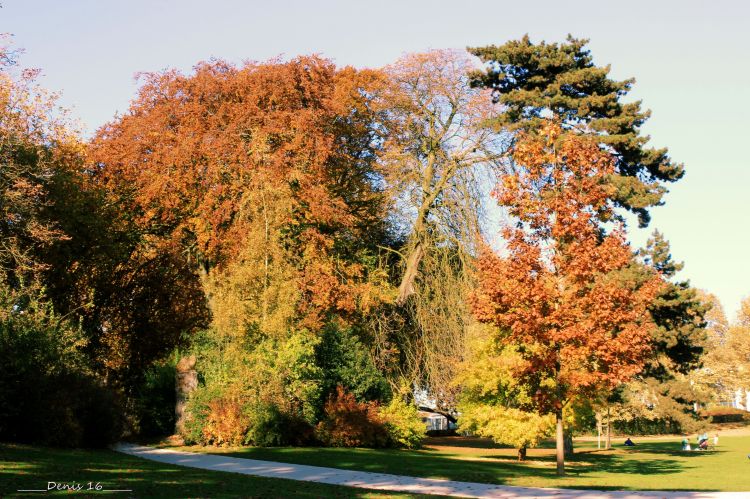 Fonds d'cran Nature Arbres - Forts PARCS ET JARDINS