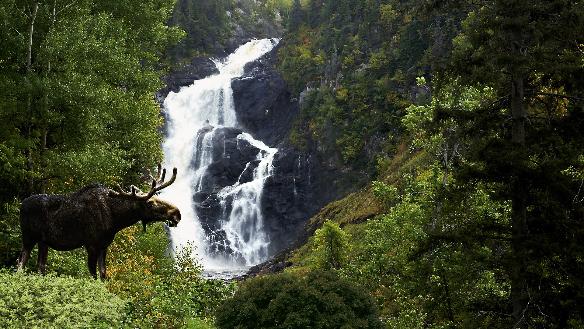 Fonds d'cran Nature Cascades - Chutes En pleine nature  Chicoutimi (province de Qubec)