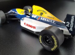  Cars WILLIAMS RENAULT FW15C (1993 - Alain PROST)