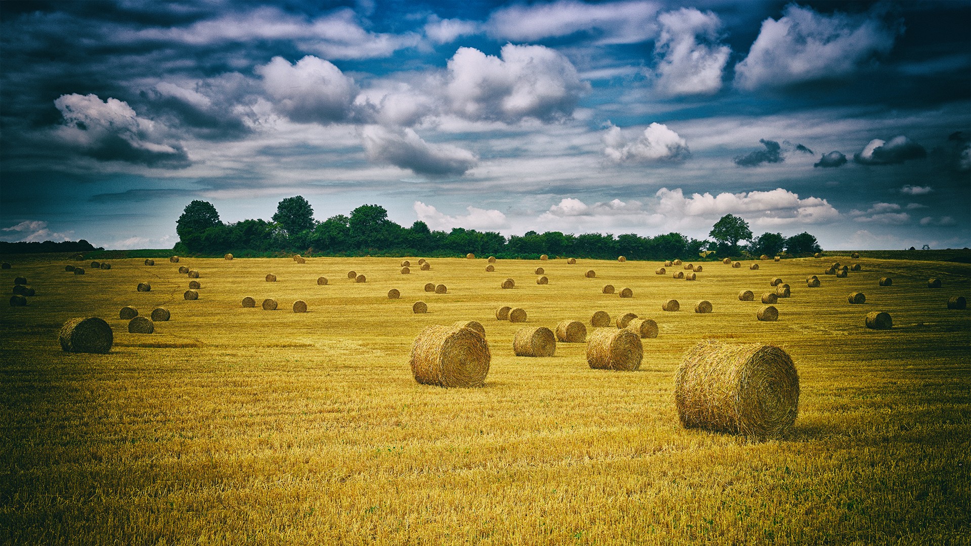 Wallpapers Nature Fields Paysage de l'Auxois au moment de la moisson 2016