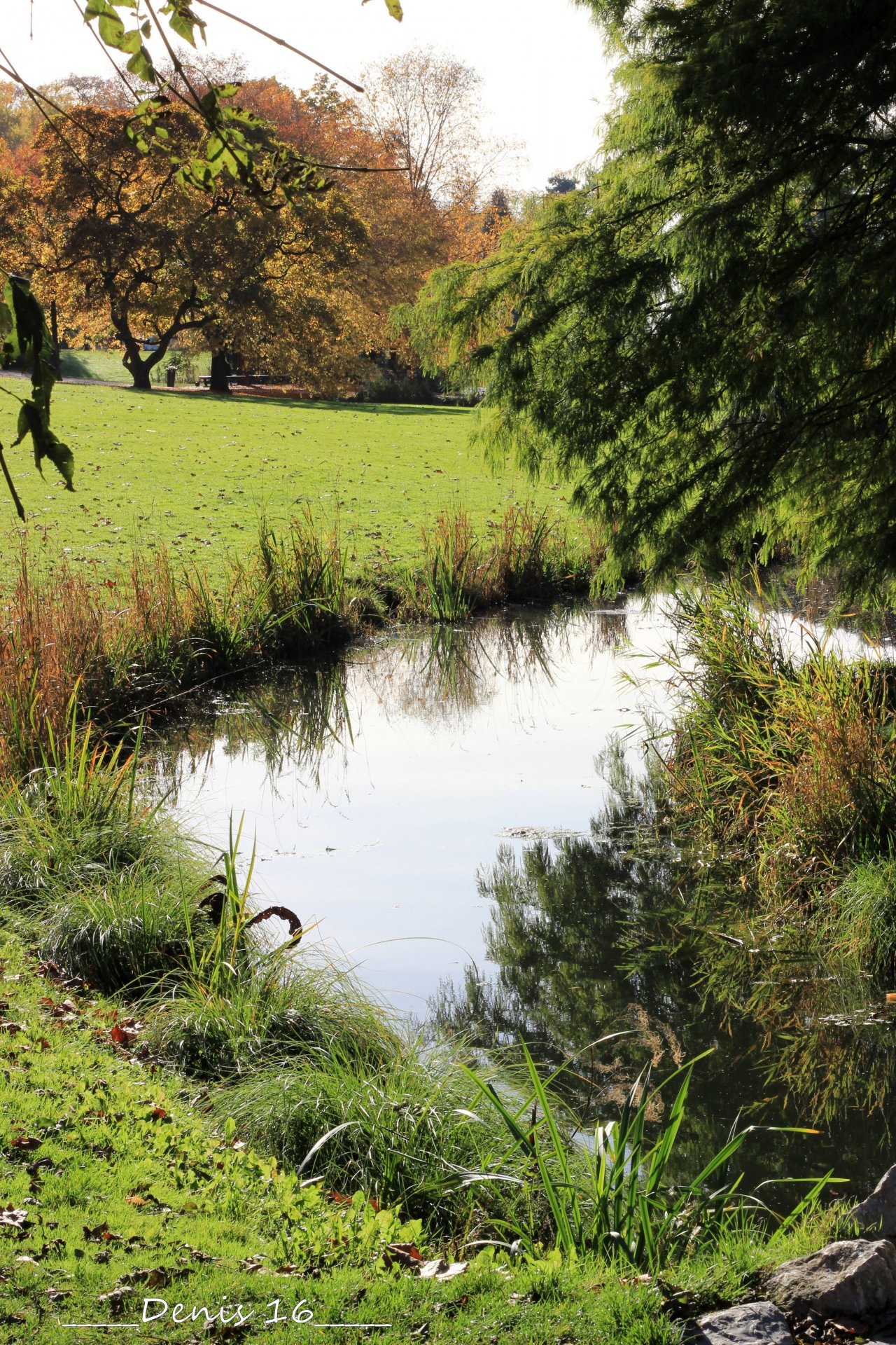 Fonds d'cran Nature Parcs - Jardins PARCS ET JARDINS-BARBIEUX-