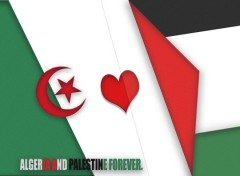  Art - Numrique ALGERIA AND PALESTINE FOREVER