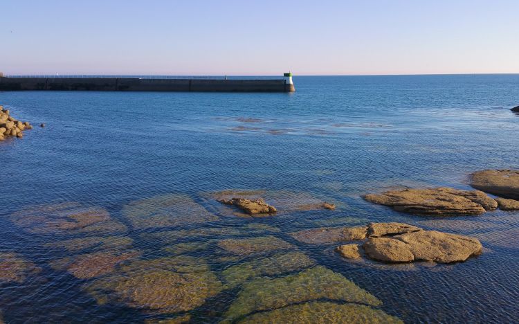 Fonds d'cran Nature Mers - Ocans - Plages Jetée en mer