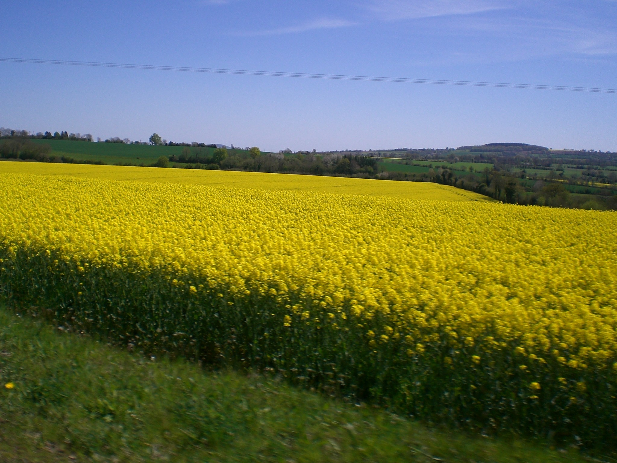 Fonds d'cran Nature Champs - Prairies 