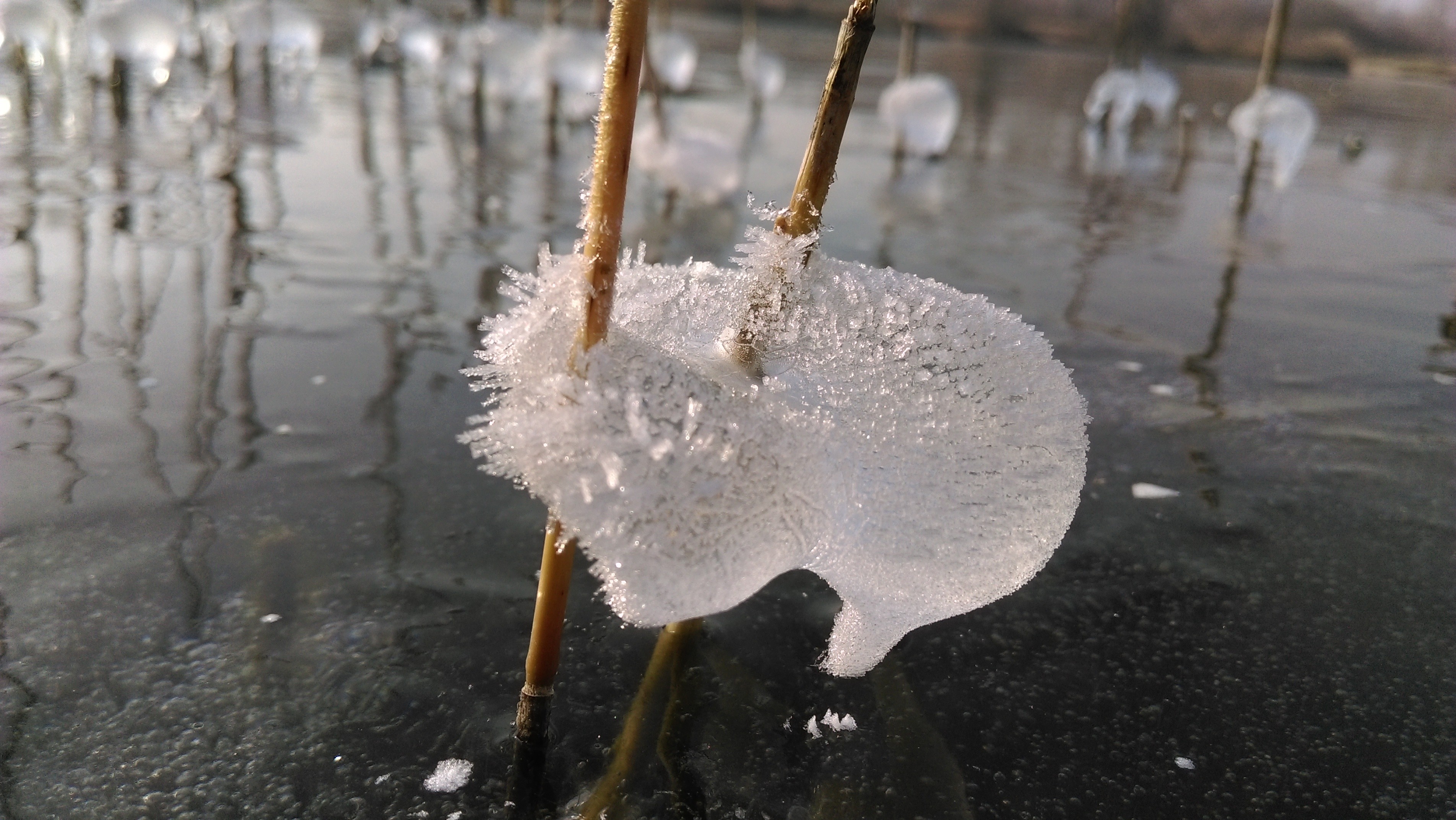 Fonds d'cran Nature Saisons - Hiver Glace 