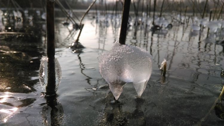 Fonds d'cran Nature Saisons - Hiver Glace 