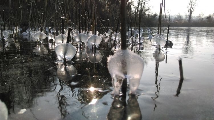 Fonds d'cran Nature Saisons - Hiver Glace 