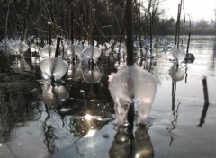  Nature Glace 