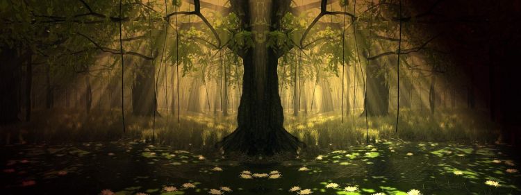 Wallpapers Digital Art Nature - Trees, plants Wallpaper N443227