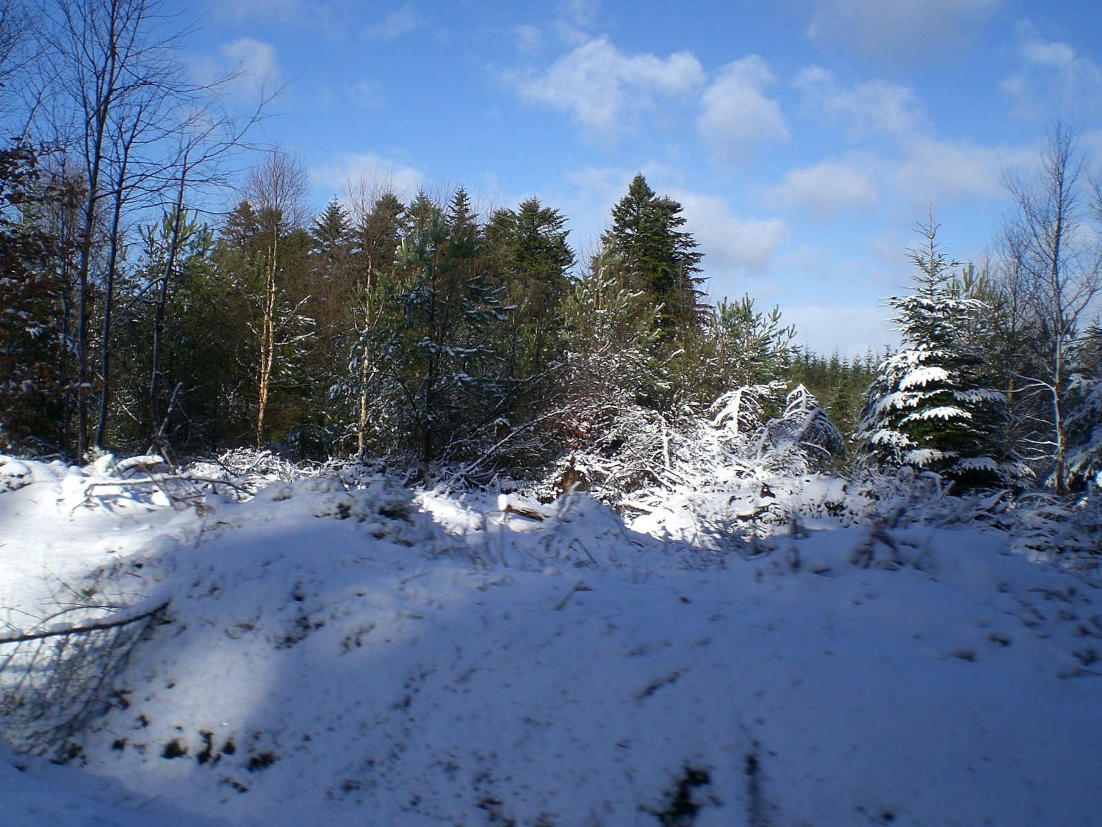 Fonds d'cran Nature Saisons - Hiver Hiver - neige