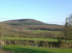  Nature Livaie en t - Butte Chaumont   