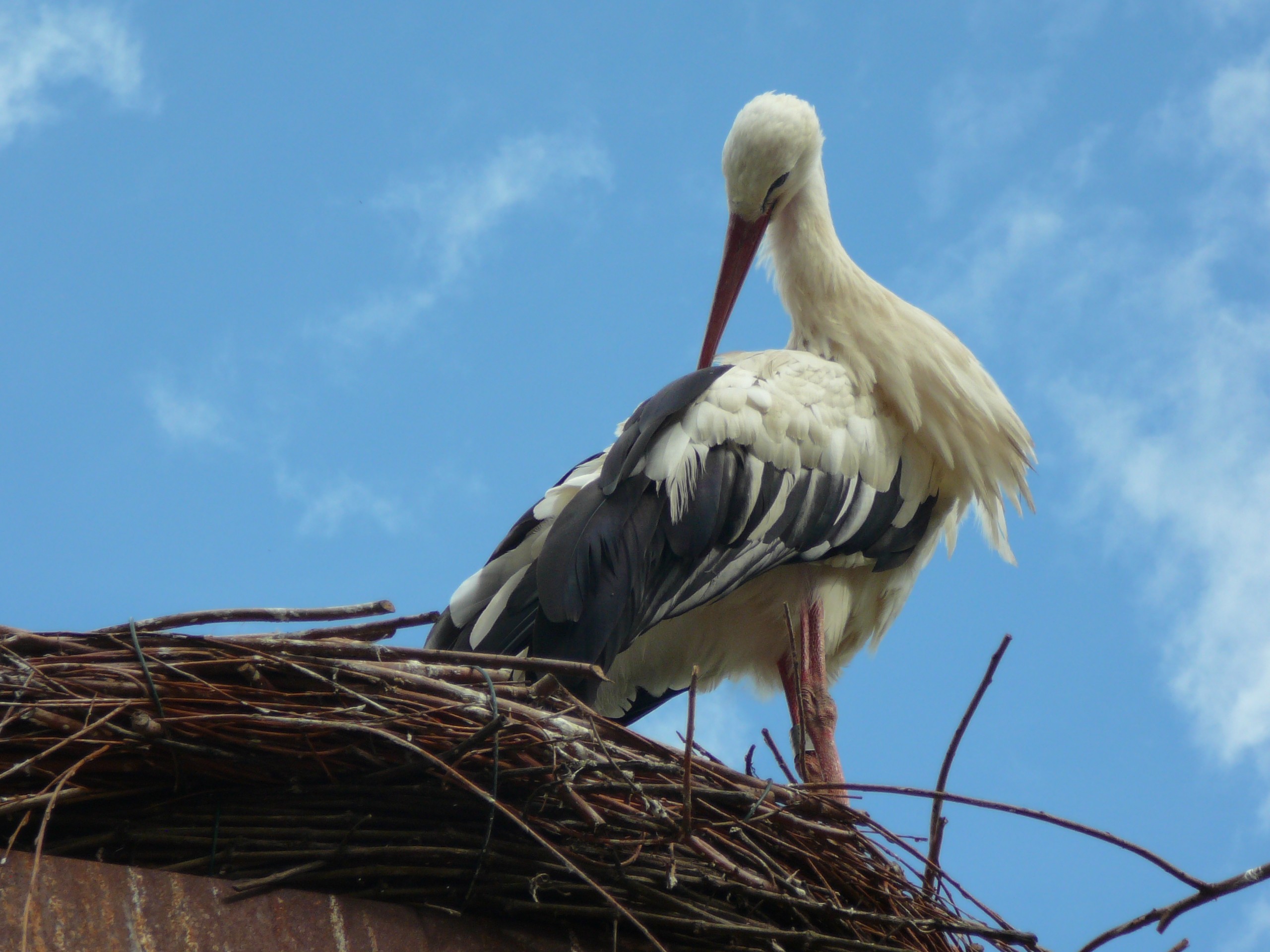 Fonds d'cran Voyages : Europe France > Alsace 