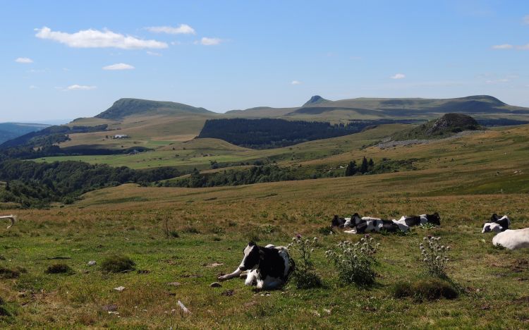 Wallpapers Nature Mountains L'auvergne