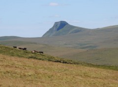  Nature L'auvergne