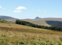  Nature L'auvergne