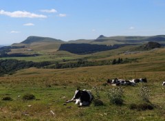  Nature L'auvergne