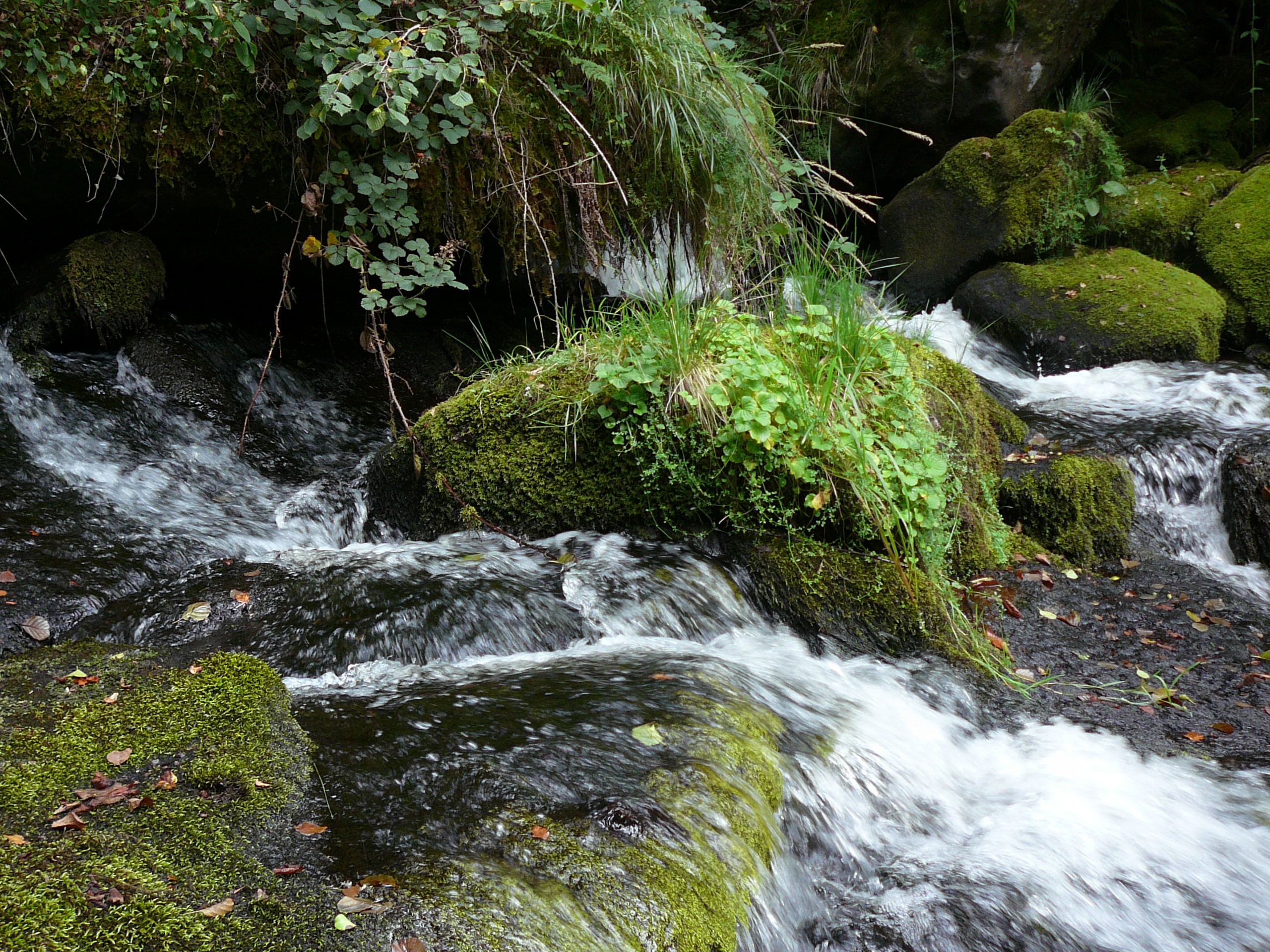 Fonds d'cran Nature Fleuves - Rivires - Torrents 