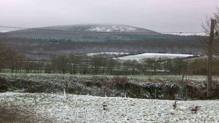 Wallpapers Nature Landscapes Hiver sur la Butte Chaumont 