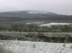  Nature Hiver sur la Butte Chaumont 