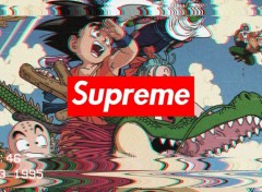  Digital Art Supreme - Dragon Ball